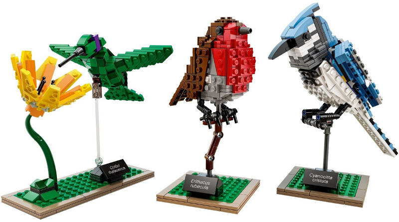 LEGO Ideas - 21301 - Birds