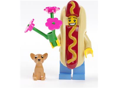 LEGO Licensed Products - 5007178 - Minifigure Notes