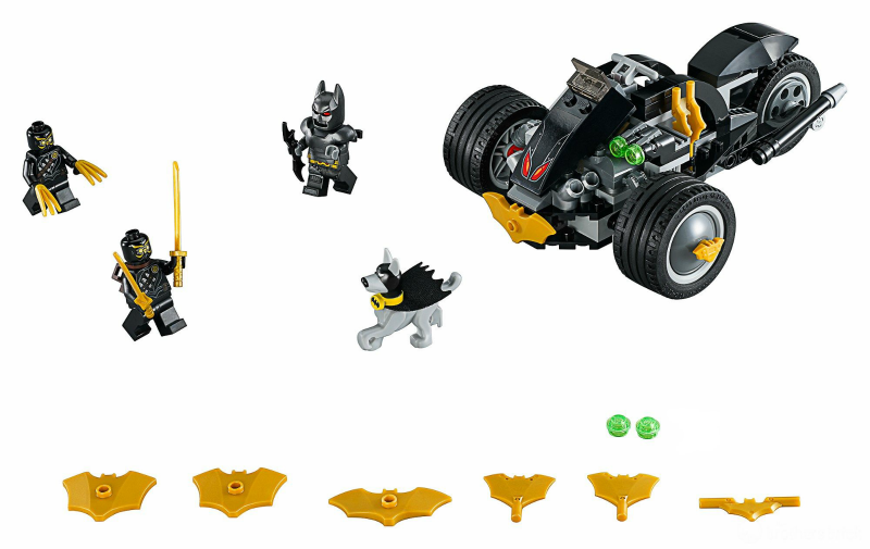 LEGO DC - 76035 - Le Pays du Joker