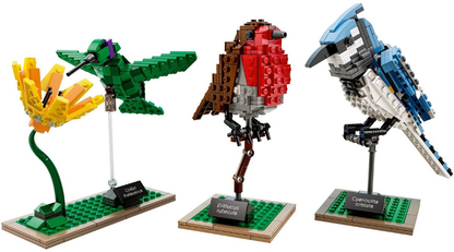LEGO Ideas - 21301 - Birds