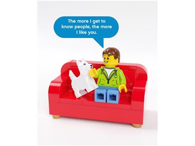 LEGO Licensed Products - 5007178 -  Minifigure Notes