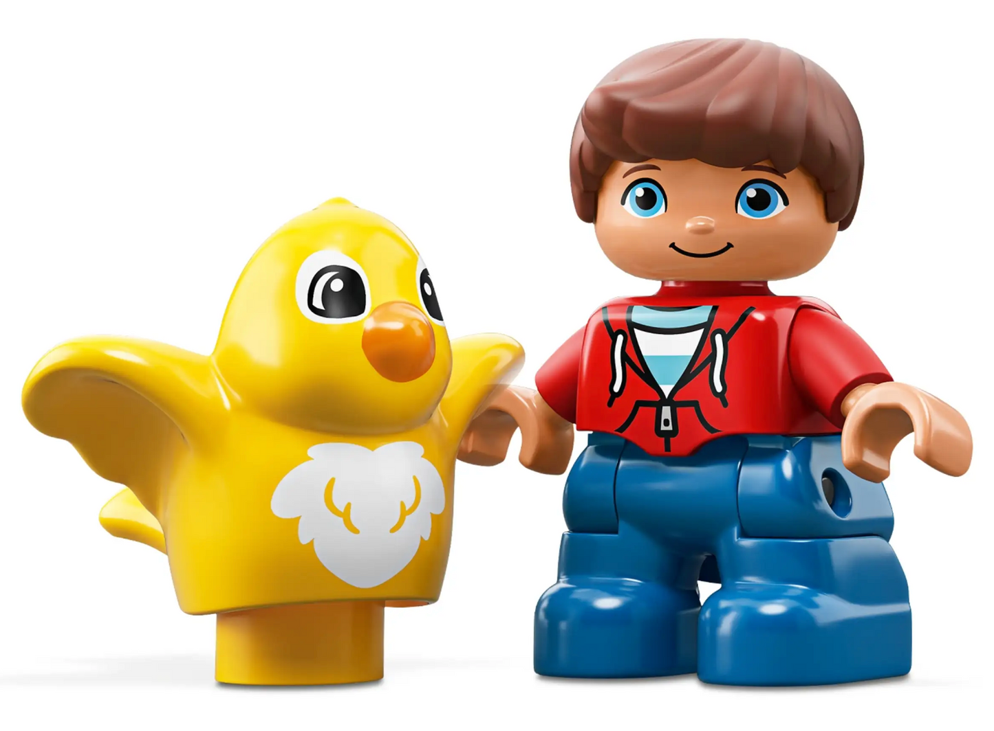 LEGO Duplo - 10887 - Creative Fun