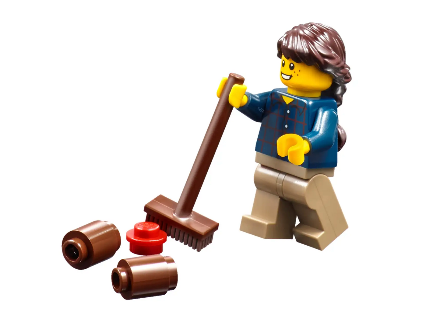 LEGO Creator - 31038 - Changement de saison UTILISÉ / USAGE