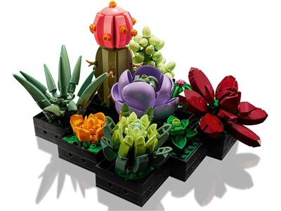 LEGO Botanical Collection - 10309 - Plantes succulentes
