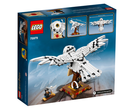LEGO HARRY POTTER - 75979 - Hedwig™