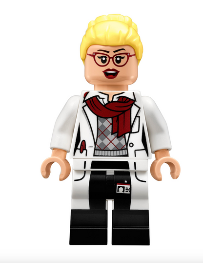 LEGO DC - 70912 - Arkham Asylum
