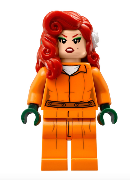 LEGO DC - 70912 - Arkham Asylum