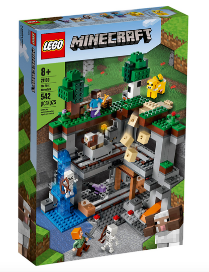 LEGO MINECRAFT - 21169 - The First Adventure
