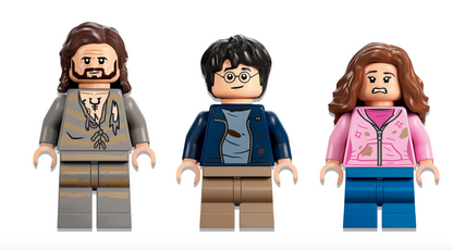 LEGO HARRY POTTER - 76401 - Hogwarts™ Courtyard: Sirius’s Rescue