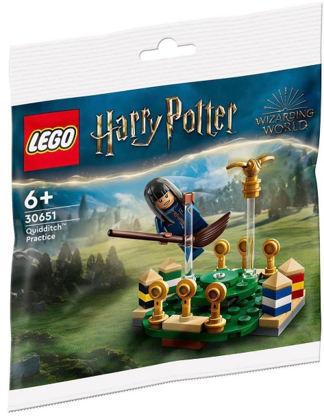 LEGO Harry Potter - 30651 - Entraînement de Quidditch - POLYBAG