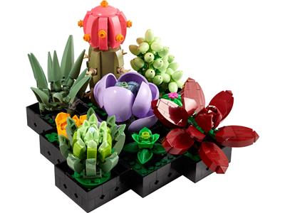 LEGO Botanical Collection - 10309 - Plantes succulentes