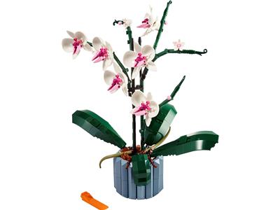 LEGO - Collection Botanique - 10311 - Orchidée