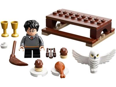 LEGO Harry Potter - 30420 - Harry Potter and Hedwig